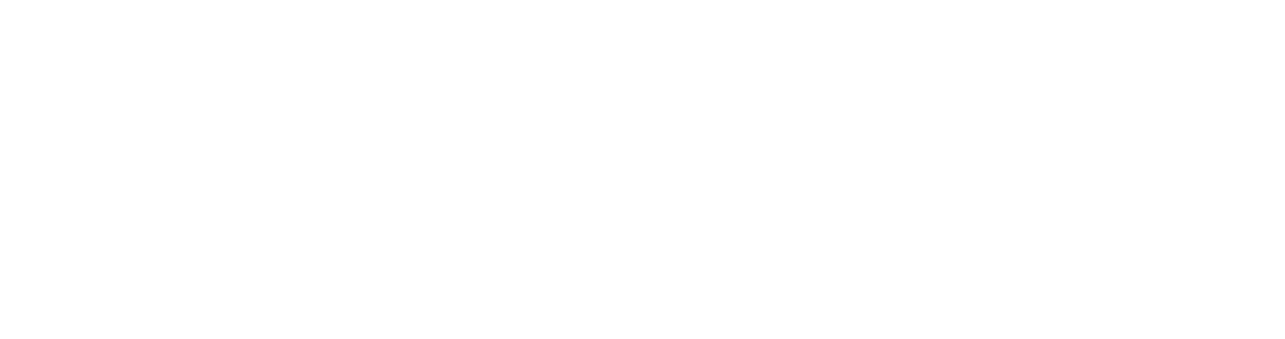 Logo Boltt